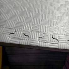 Professional Taekwondo EVA Foam Mats for Training & Dojang Flooring thumbnail-3