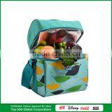 Picnic Chair Bag Folding Cooler Basket