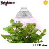 For Greenhouse,area 515w Chip E27 Mini Full Spectrum Led Grow Light