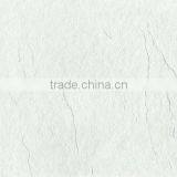 NO. DPT6212 Light Color Matt Design Glaze Tile