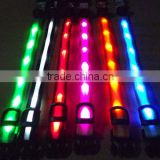 newest led pet collar,high quality,multi color