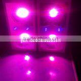 Best Sellers Full Spectrum 300W Led Grow Lights thumbnail-1