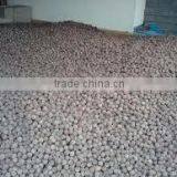 Vietnam Amazing Dried Lychee thumbnail-2