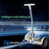 New Style 10 Inch Electric Chariot With Handle