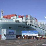 LOGISTICS SERVICE LAZARO CARDENAS