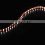 High Quality RGBWW With 600Leds Double Row 5050 Rgbw Led Strip thumbnail-3