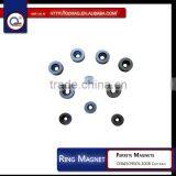 Ring Shaped Ferrite Magnets for Sale With High Quality and Reasonable Price