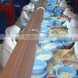 Cashew Nut Kernel Best Price thumbnail-1