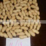 Blanched Peanut Kernels thumbnail-1