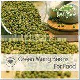 Canned Mung Beans Price