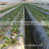 Drip Irrigation EV0231 Plastic Film Mulch thumbnail-5