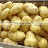 TW-1500A Potato Cleaning Peeling Machine thumbnail-5