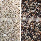 Pulses Color Sorter With High-resolution CCD Camera thumbnail-3