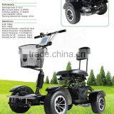 Golf Carts for Sale (GT-9) thumbnail-2