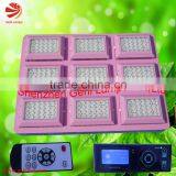 Programmable Multi Color Led Light With Remote Controller thumbnail-1