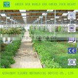 Small Commercial Film Warm Greenhouse thumbnail-3