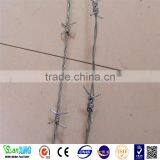 Anti-oxidation High Quality Hot Dipped Galvanized PVC Coated Barbed Wire thumbnail-1