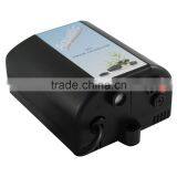 300 Mg/h Ozone Small Swimming Pool Spa for Home Use