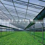 Transparent Greenhouse Fiberglass Panels thumbnail-5