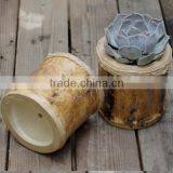 Home Design 5 Inch Succulent Plant Small Wood Flower Planter thumbnail-2