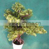 Home Garden Decoration 50cm to 160 cm Hight Small Indoor Canadian Artificial Green Pot Plastic Similar Pine Trees ELSPZ02 0904 thumbnail-1