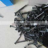 Shoe Tack Nails thumbnail-1