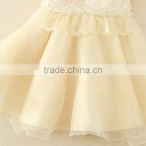 2017 Baby Girl Party Dress Children Frocks Designs Lace Sexy Harness Apricot Lovely Cotton Net Birthday Party Dresses thumbnail-5