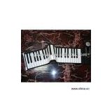 Sell Educational Hand Roll Piano