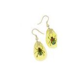 Real Insect Amber  Earring(crafts,gifts,souvenir ,novelties,gift promotion)