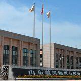 Shandong CHIK Bearing Co.,Ltd company overview - view 1 thumbnail