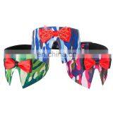 Fashion Bowknot Gentleman Strap Party Comfort Knot Hot Sale Dog Harness thumbnail-1