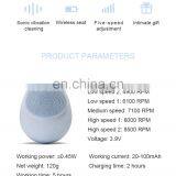 GOOD PRICE Cleansing Silicone Sonic Face Brush thumbnail-5