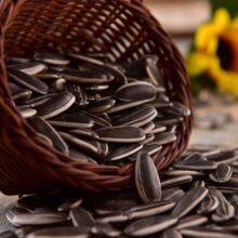 Sunflower Seeds