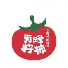 Liaocheng delicious tomato promotion company