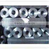 All Kinds of Galvanzied Weldd Mesh(factory)