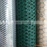 Hexagonal Wire Mesh /chicken Wire Mesh (factory)