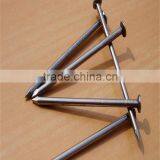 High Quality Low Price Factory Produce Common Iron Nail Smooth Shank/ Supplier Common Iron Nail thumbnail-4