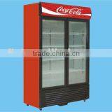 Upright Freezer Double Door Upright Freezer thumbnail-1