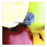 PET Film For Pvc Coated Fabric