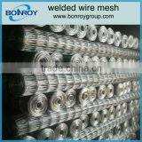 2x2 Galvanized Welded Wire Mesh for Fence Panel thumbnail-1