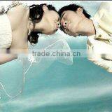 PET Backlit Film With Semi-Transparent thumbnail-1