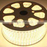 Hot Warm White/super Bright 3528/3020/335 Led Strip Light With CE thumbnail-1