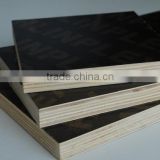 Construciton Plywood for Building