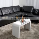 Ethanol Fireplaces Type and Freestanding Installation Type Fireplace without remote control