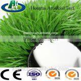 15mm Height Outdoor Synthetic Grass / Artificial Turf for Golf thumbnail-6