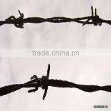 Barbed Wire thumbnail-1