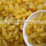 Golden Raisins thumbnail-1