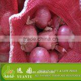 Export Quality Fresh Red Onion thumbnail-4