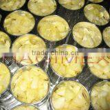 Vietnam Canned Pineapple Chunks in A10 Cans, Competitive Price, High Quality thumbnail-3
