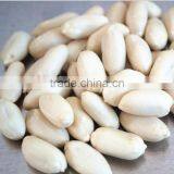 Haihua and Luhua 25/29 29/33 35/39 thumbnail-1